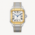 ZN CR ST White/Gold Two-Tone