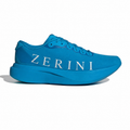 ZN AO EO SL EN SR BE SR 2025