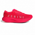 ZN AO EO SL LD RD CE BK 2025