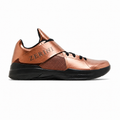 ZN NE KD 4 CS 2024